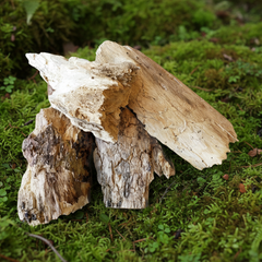 Premium Rotting Wood Shake Supply