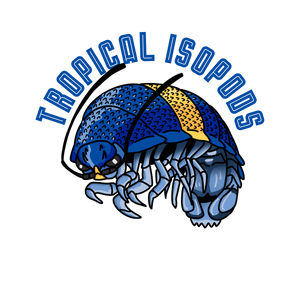 Tropical Isopods logo
