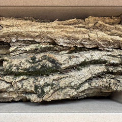 Eastern cottonwood bark flats