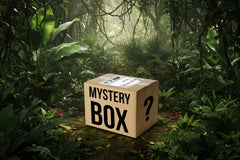 Tropical Isopod Mystery Box