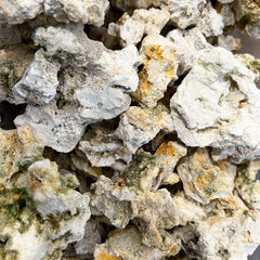 Live limestone calcium