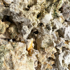 Live limestone calcium