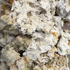 Live limestone calcium