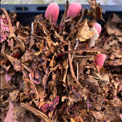 Ground Dry Almond Leaves Gallon