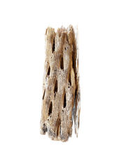 Papaya Tree Bark Supply