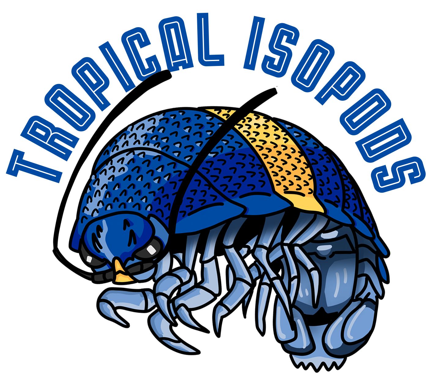 Isopod Care – Tropical Isopods