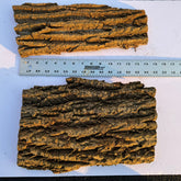 Eastern cottonwood bark flats