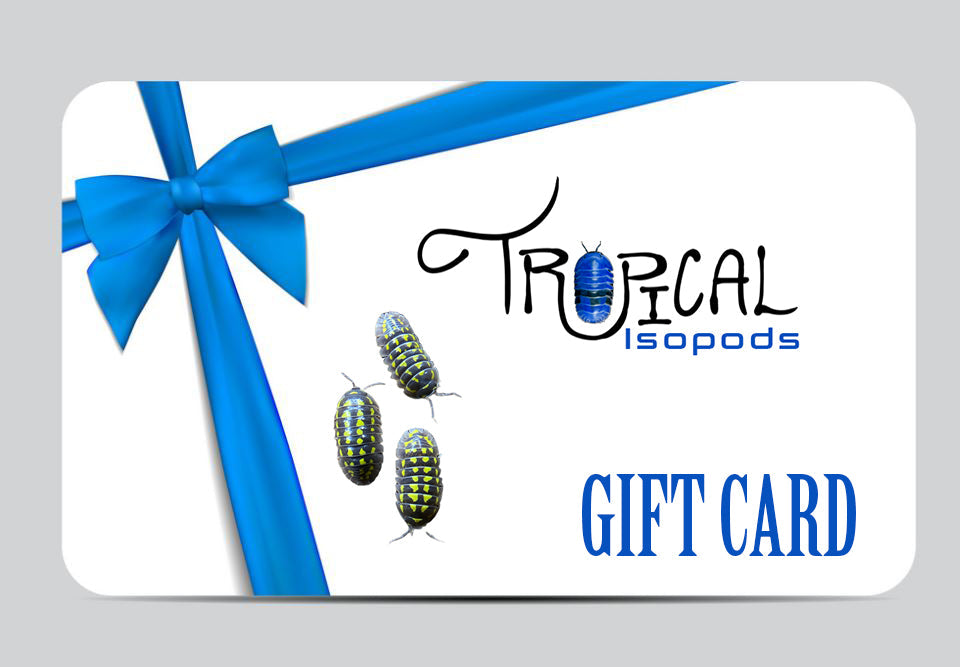 Tropical Isopod Gift Card