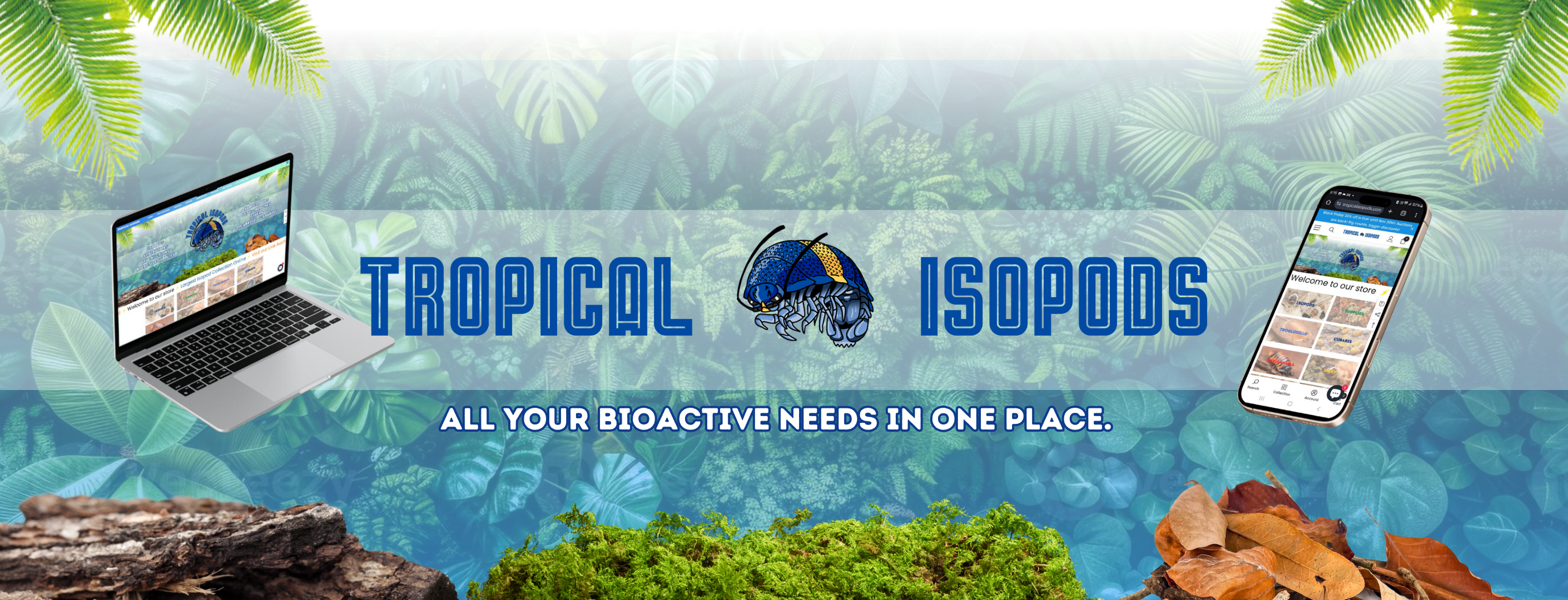 Isopod Care – Tropical Isopods